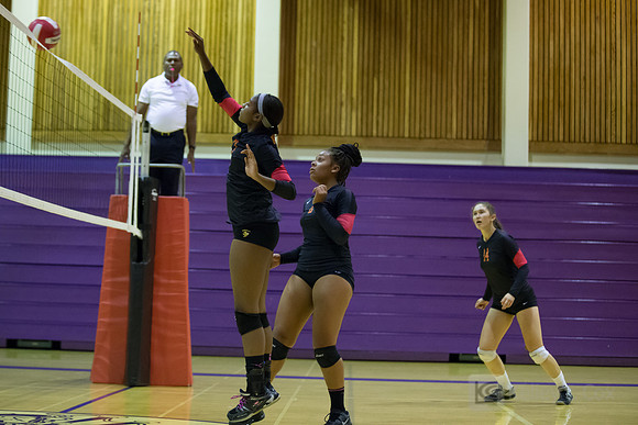 Volleyball: Berkeley at Piedmont