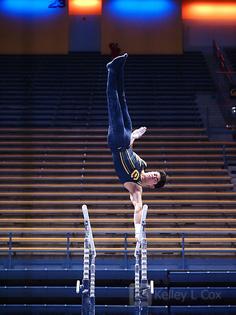 Noah Newfeld