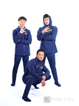 Darren Wong, Yu-Chen Lee, David Rauchwerger