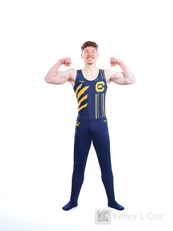 Harrison Gregory