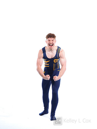 Harrison Gregory