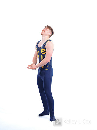 Harrison Gregory