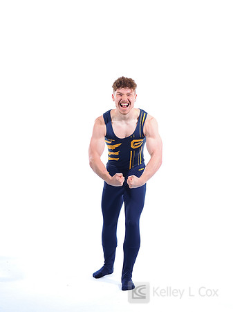 Harrison Gregory