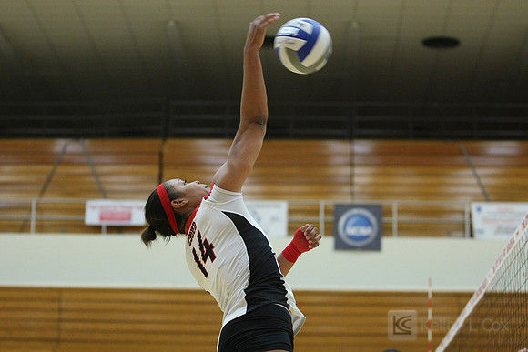 Volleyball: CSU Stanislaus at CSUEB