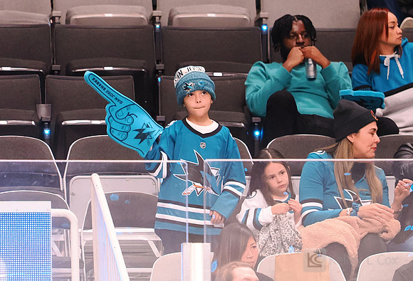NHL: Anaheim Ducks at San Jose Sharks