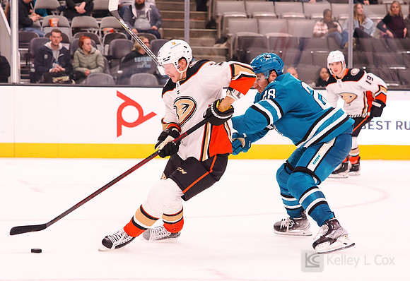 NHL: Anaheim Ducks at San Jose Sharks