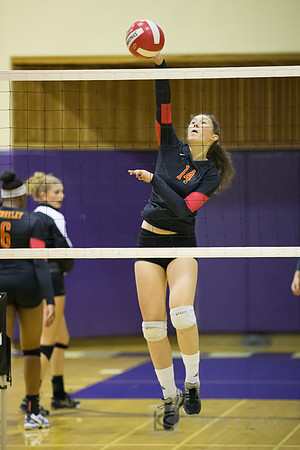 Volleyball: Berkeley at Piedmont