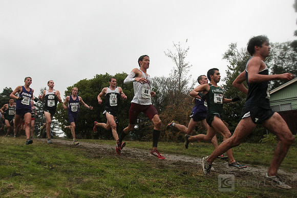 NCAA Cross Country: WCC Championships
