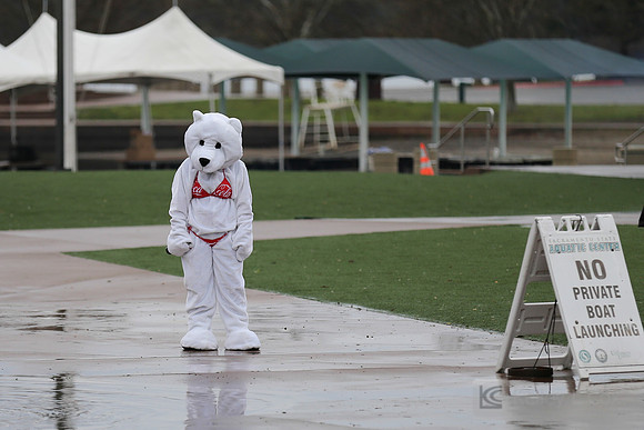 SONC: Polar Plunge Sacramento