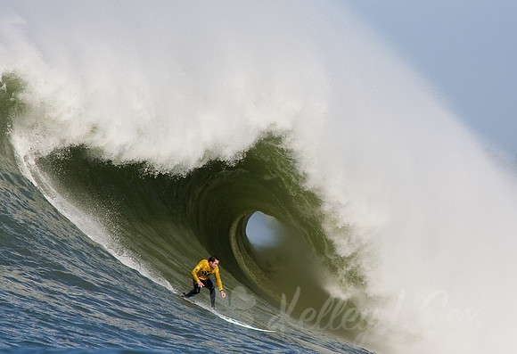 Mavericks 2010