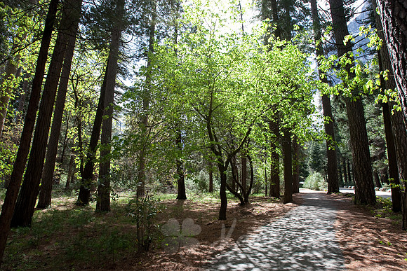 Yosemite 2011