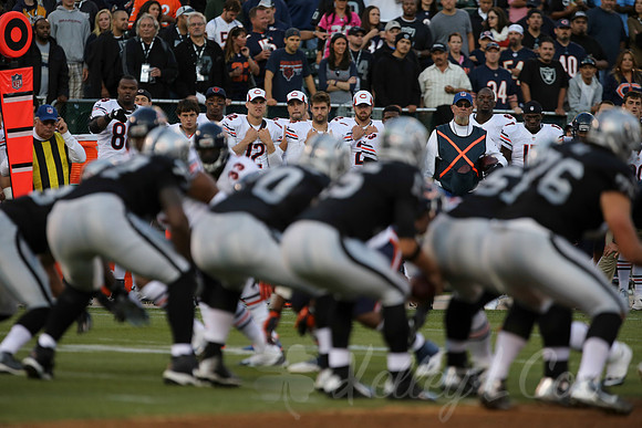 NFL: Preseason-Chicago Bears at Oakland Raiders