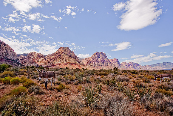 Red Rock Canyon