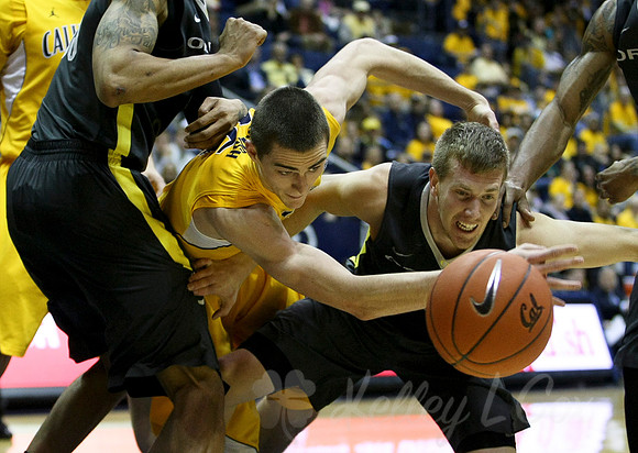 CAA Basketball: Oregon at California