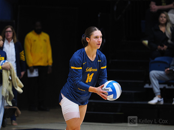 Volleyball: California Golden Bears vs Notre Dame Fighting Irish