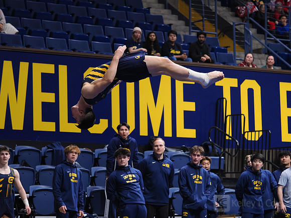 Men’s Gymnastics: California Golden Bears vs Stanford Cardinal