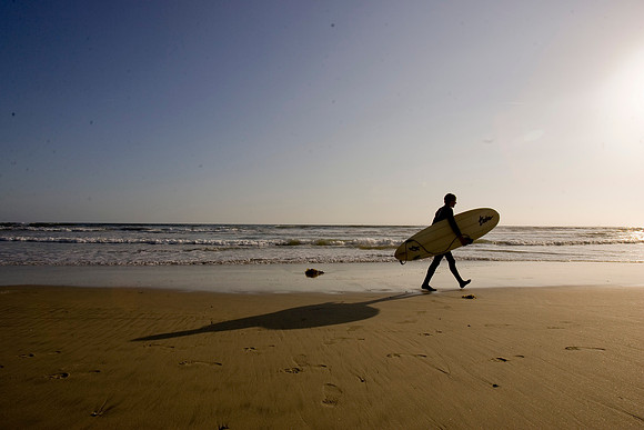 Surfer