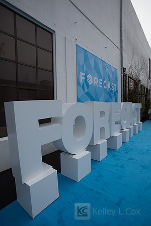Forecast 2015