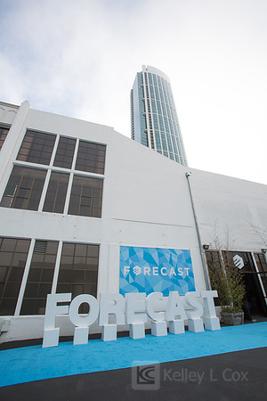 Forecast 2015