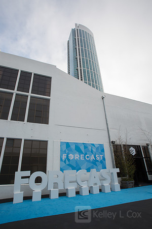 Forecast 2015