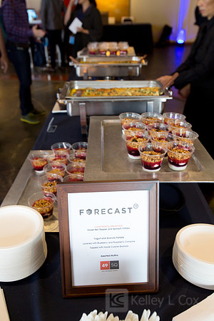 Forecast 2015