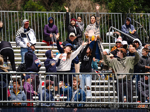 Fans