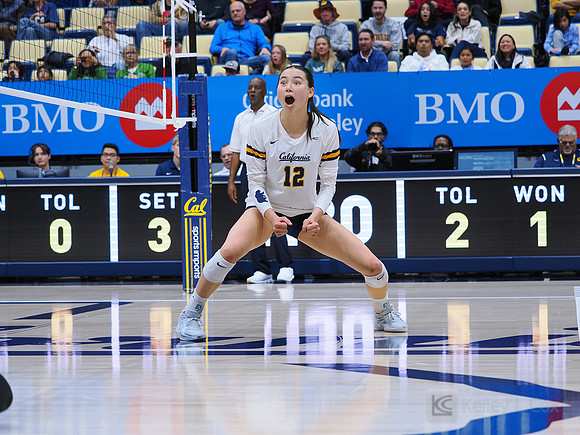 Volleyball: California Golden Bears vs Notre Dame Fighting Irish