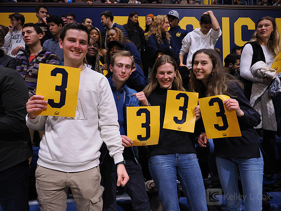 Fans