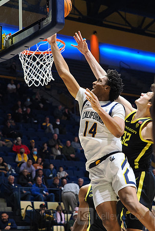 Men’s Basketball: California Golden Bears vs Oregon Ducks