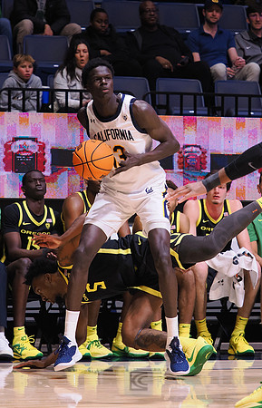 Men’s Basketball: California Golden Bears vs Oregon Ducks