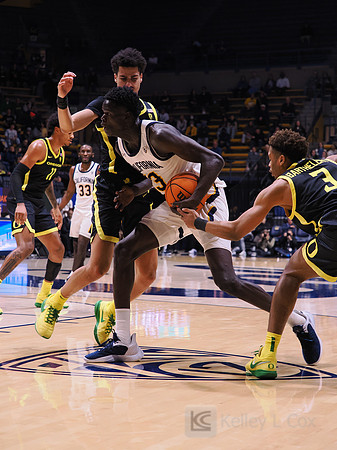 Men’s Basketball: California Golden Bears vs Oregon Ducks