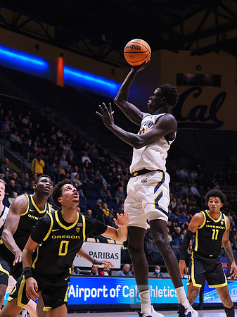 Men’s Basketball: California Golden Bears vs Oregon Ducks