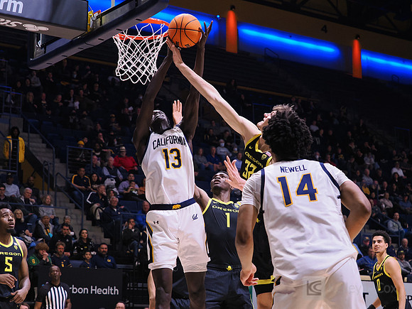 Men’s Basketball: California Golden Bears vs Oregon Ducks