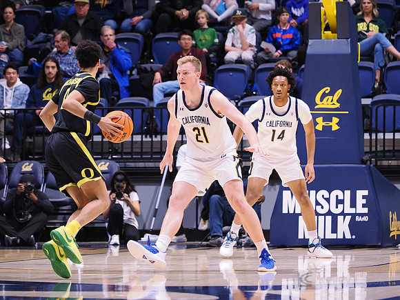 Men’s Basketball: California Golden Bears vs Oregon Ducks