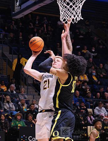 Men’s Basketball: California Golden Bears vs Oregon Ducks