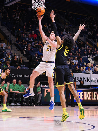 Men’s Basketball: California Golden Bears vs Oregon Ducks
