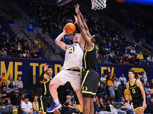 Men’s Basketball: California Golden Bears vs Oregon Ducks