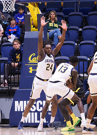 Men’s Basketball: California Golden Bears vs Oregon Ducks