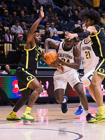 Men’s Basketball: California Golden Bears vs Oregon Ducks