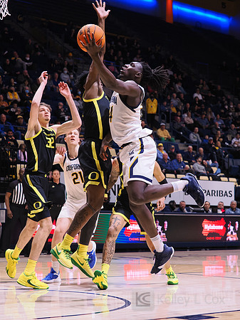 Men’s Basketball: California Golden Bears vs Oregon Ducks