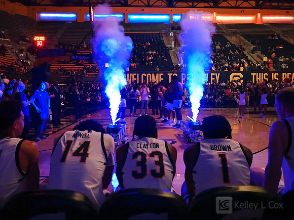 Starters