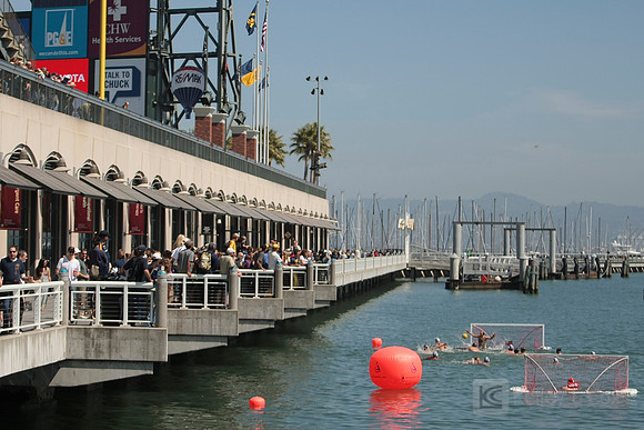 McCovey Cove Water Polo