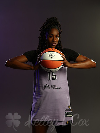 WNBA: Golden State Valkyries-Media Day