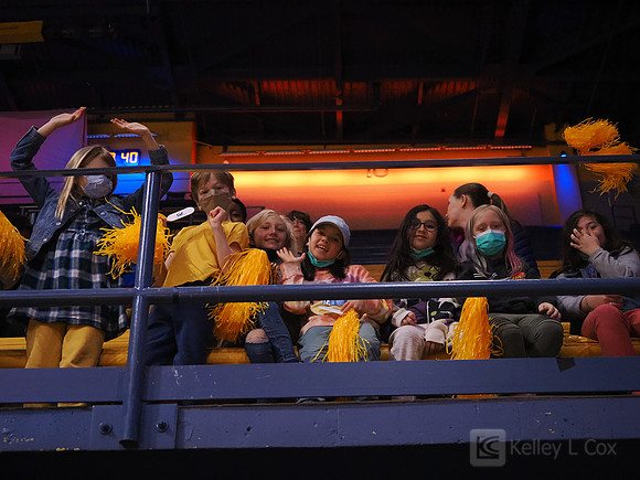 Fans