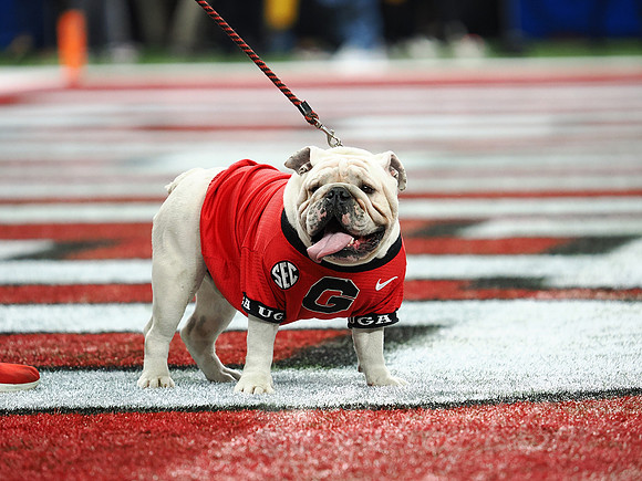 Sugar Bowl Football: Ole Miss Rebels vs Georgia Bulldogs