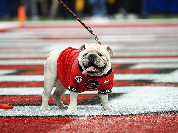 Sugar Bowl Football: Ole Miss Rebels vs Georgia Bulldogs