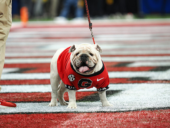 Sugar Bowl Football: Ole Miss Rebels vs Georgia Bulldogs