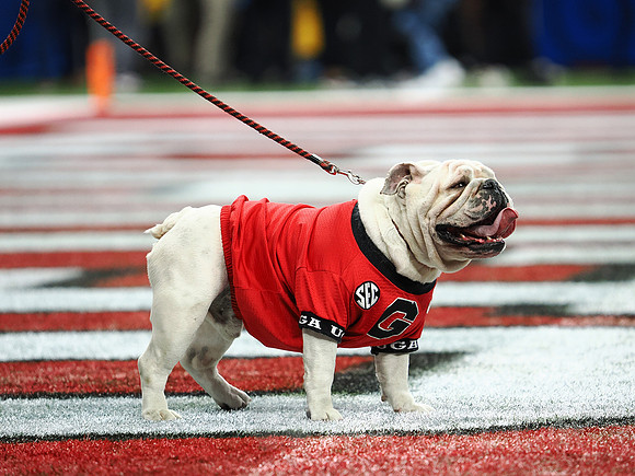 Sugar Bowl Football: Ole Miss Rebels vs Georgia Bulldogs