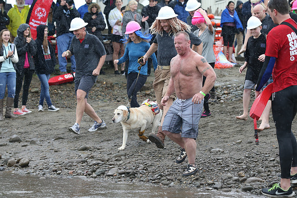 SONC: Polar Plunge Sacramento
