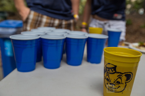 CAA: Young Alumni Tailgate